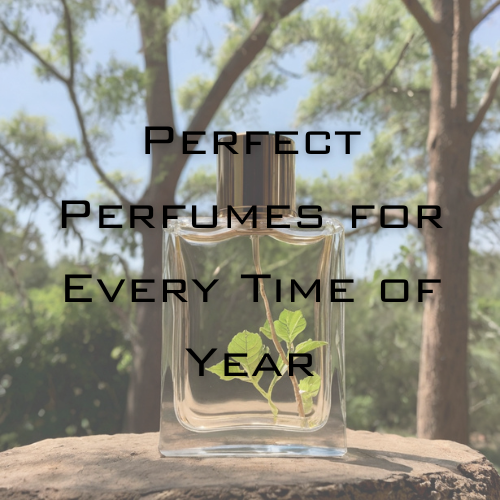 Scents of the Season: Elevate Your Fragrance Game with the Perfect Perfumes for Every Time of Year