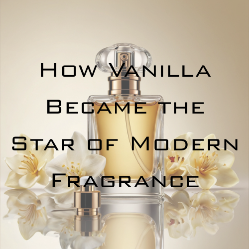 Beyond Sweet: How Vanilla Became the Star of Modern Fragrance